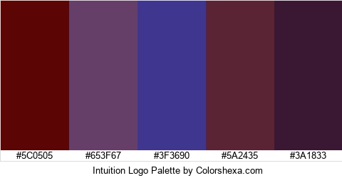 Intuition Logo Colors Logo