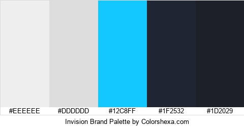 Invision Brand Colors Logo