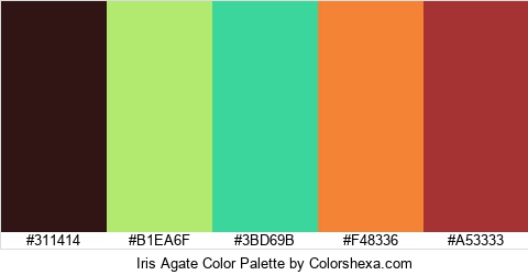 Iris Agate Color Colors Logo