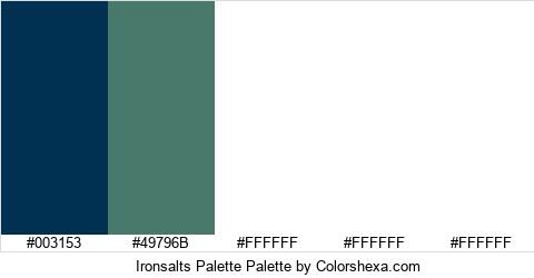 Ironsalts Palette Colors Logo