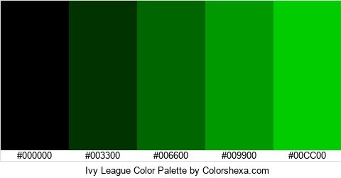 Ivy League Color Colors Logo