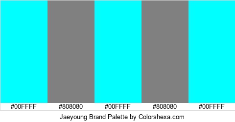 Jaeyoung Brand Colors Logo