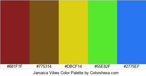 Jamaica Vibes Color Colors Logo