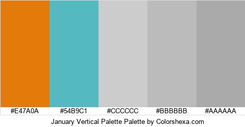 January Vertical Palette Colors Logo
