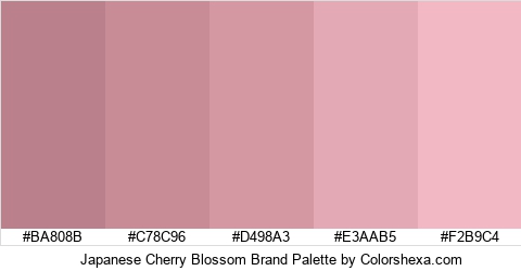 Japanese Cherry Blossom Brand Colors Logo
