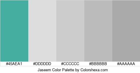 Jaseem Color Colors Logo