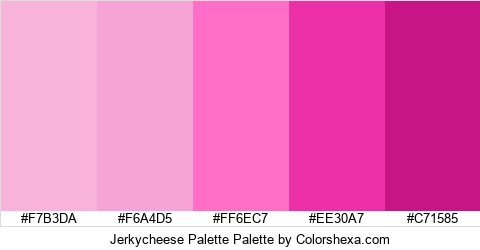 Jerkycheese Palette Colors Logo
