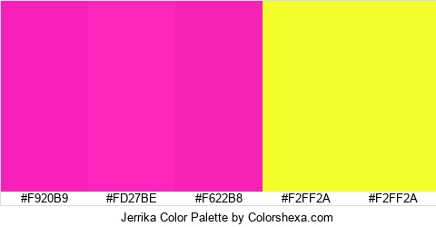 Jerrika Color Colors Logo