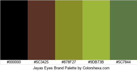 Jeyas Eyes Brand Colors Logo