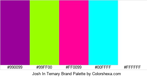 Josh In Ternary Brand Colors Logo