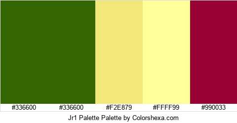 Jr1 Palette Colors Logo