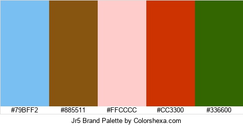 Jr5 Brand Colors Logo
