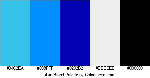 Julian Brand Colors Logo