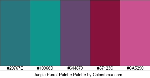 Jungle Parrot Palette Colors Logo
