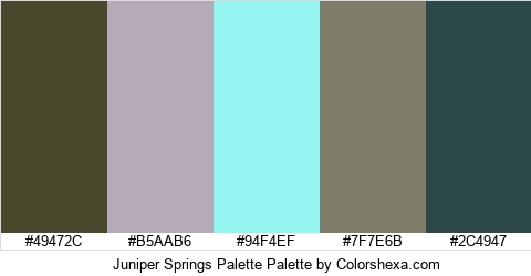 Juniper Springs Palette Colors Logo