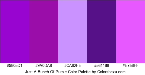 Just A Bunch Of Purple Color Colors Logo
