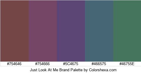 Just Look At Me Brand Colors Logo