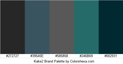 Kake2 Brand Colors Logo