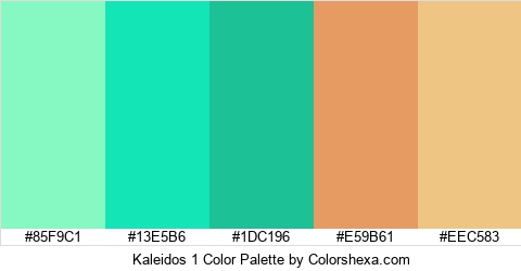 Kaleidos 1 Color Colors Logo