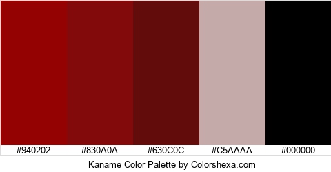 Kaname Color Colors Logo