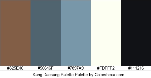 Kang Daesung Palette Colors Logo