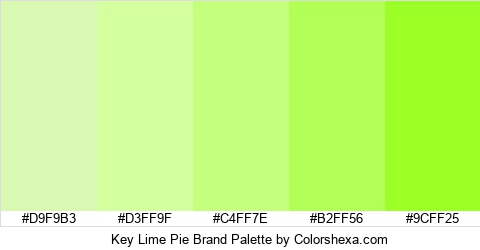 Key Lime Pie Brand Colors Logo