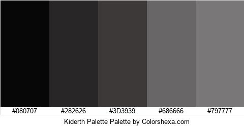Kiderth Palette Colors Logo