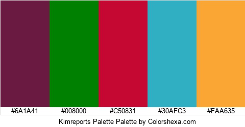 Kimreports Palette Colors Logo