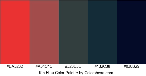 Kin Hisa Color Colors Logo