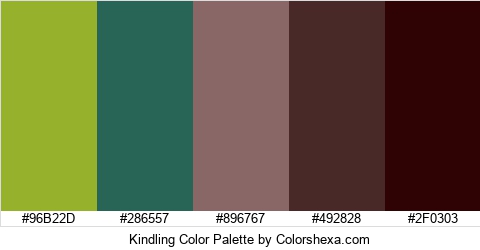 Kindling Color Colors Logo