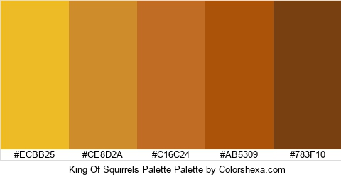 King Of Squirrels Palette Colors Logo