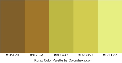Kurax Color Colors Logo