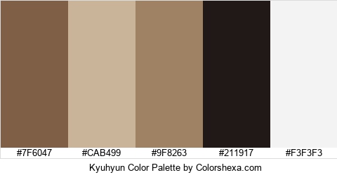 Kyuhyun Color Colors Logo