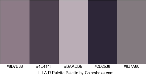 L I A R Palette Colors Logo