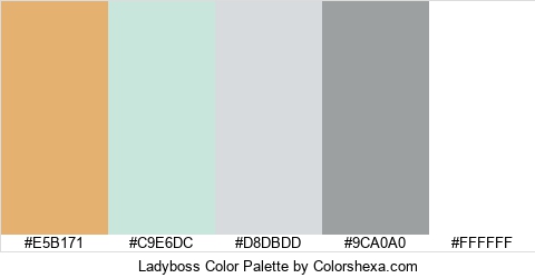 Ladyboss Color Colors Logo