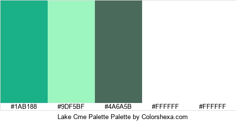 Lake Cme Palette Colors Logo