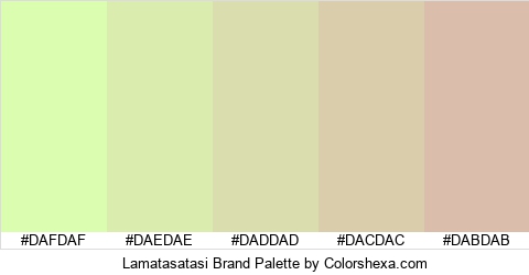 Lamatasatasi Brand Colors Logo