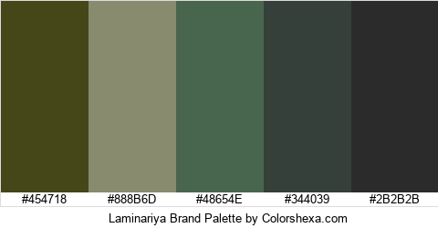 Laminariya Brand Colors Logo