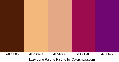 Lazy Jane Palette Colors Logo
