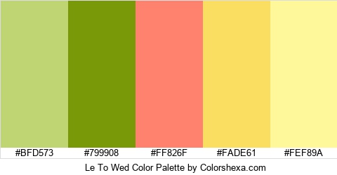 Le To Wed Color Colors Logo