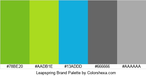 Leapspring Brand Colors Logo