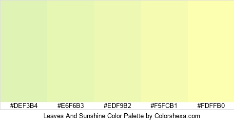 Leaves And Sunshine Color Colors Logo