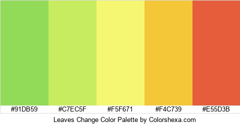 Leaves Change Color Colors Logo