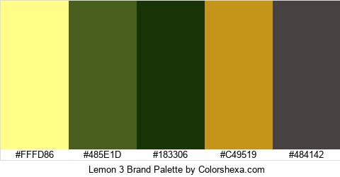 Lemon 3 Brand Colors Logo
