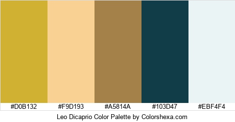 Leo Dicaprio Color Colors Logo