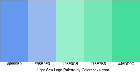 Light Sea Logo Colors Logo
