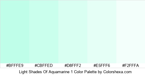Light Shades Of Aquamarine 1 Color Colors Logo