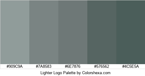 Lighter Logo Colors Logo