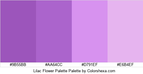 Lilac Flower Palette Colors Logo