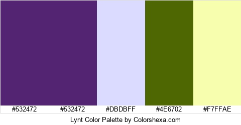 Lynt Color Colors Logo